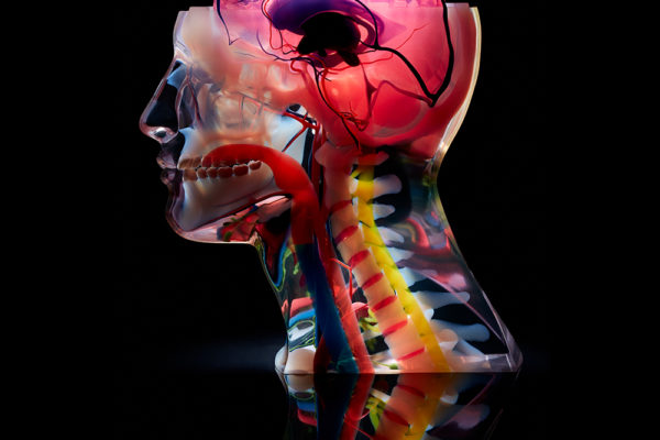 J750 Digital Anatomy 3D打印机可为您提供无限可能。选择颜色。确定透明度