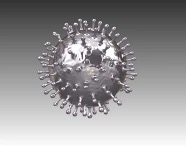 新型冠状病毒模型