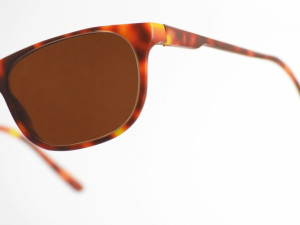 eyewear1