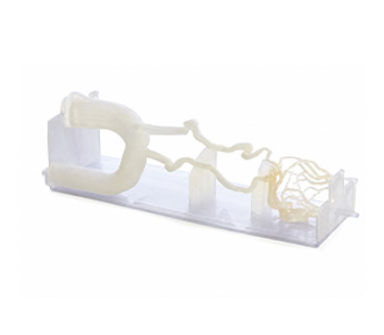 BoneMatrix™
