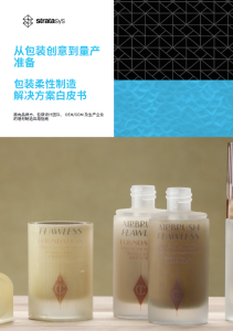白皮书封面图