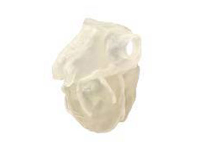BoneMatrix®
